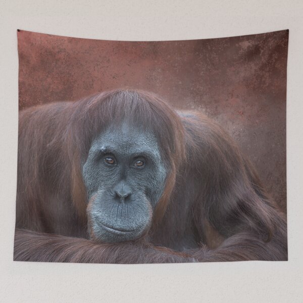 Artikelvorschau, Orang-Utan One entworfen und verkauft von Elisabeth Lucas.