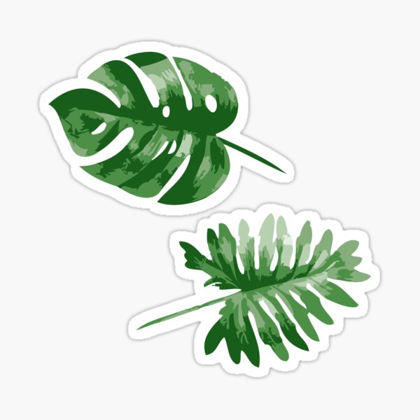 Plant Stickers - Monstera Stickers - Anthurium Stickers - Water Resist –  The Moss Pole