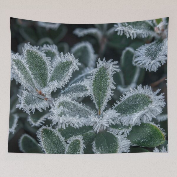 Item preview, Frosty designed and sold by Veikko  Suikkanen.