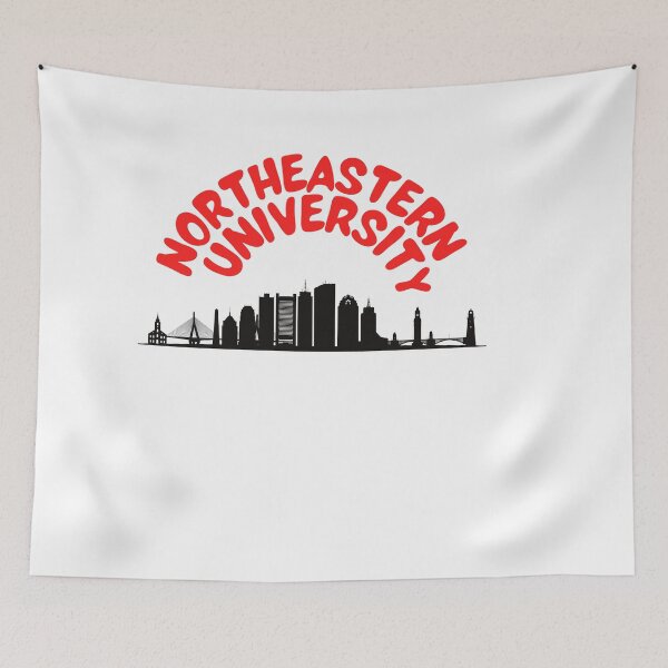 Item preview, Northeastern designed and sold by Naomi G..