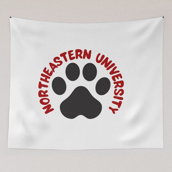 Item preview, Northeastern designed and sold by Naomi G..