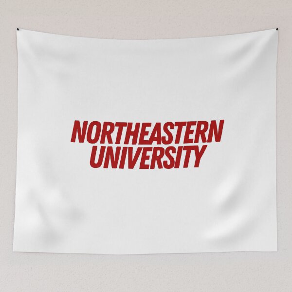 Item preview, Northeastern designed and sold by Naomi G..