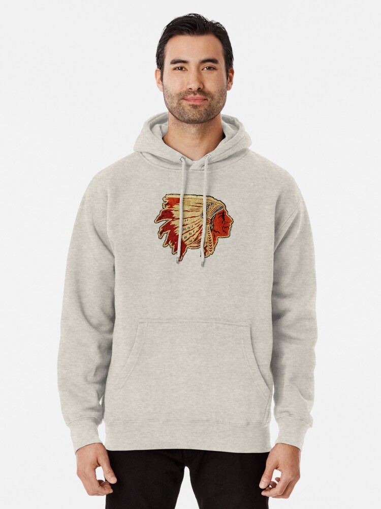 The north face sale bearitage hoodie