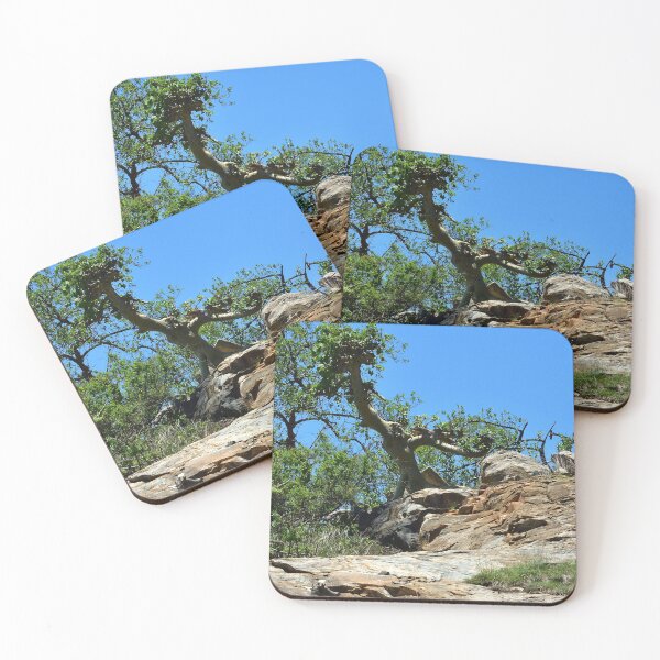 Item preview, Landscape, colors of nature designed and sold by Maniki SA.