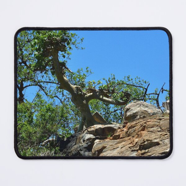 Item preview, Landscape, colors of nature designed and sold by Maniki SA.
