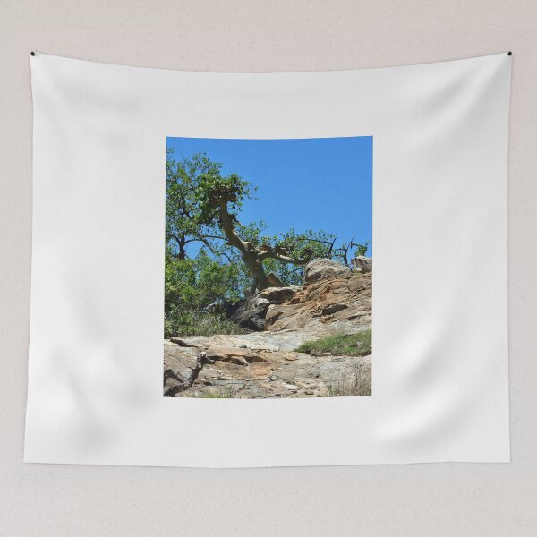 Item preview, Landscape, colors of nature designed and sold by Maniki SA.