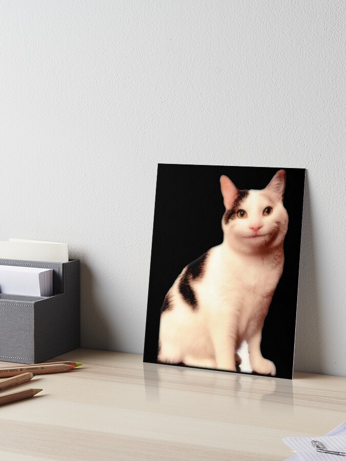 Beluga Cat Photographic Print for Sale by LUCKY DESIGNER