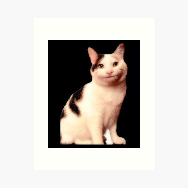 Smiling Cat Beluga - Cat Beluga Art Board Print for Sale by Kakoll