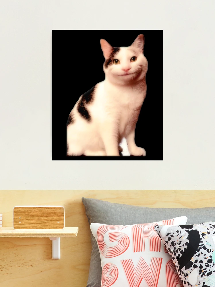 Beluga Cat Premium Matte Vertical Poster sold by Korean Trey Orange | SKU  41853682 | Printerval