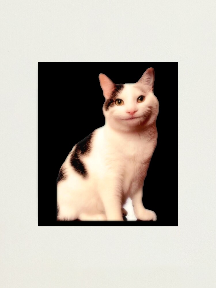 Cat Pfp Aesthetic Photographic Prints for Sale