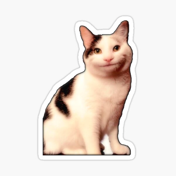 Beluga cat, Beluga Cat Meme, Meme Sticker for Sale by graphic-genie