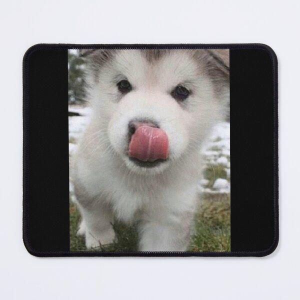 Item preview, Kitten Leaning Against Golden Retriever Puppy| Perfect Gift designed and sold by jihamica.