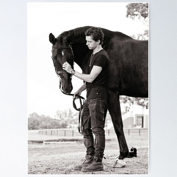 Item preview, black horse tom holland designed and sold by JackProfit.
