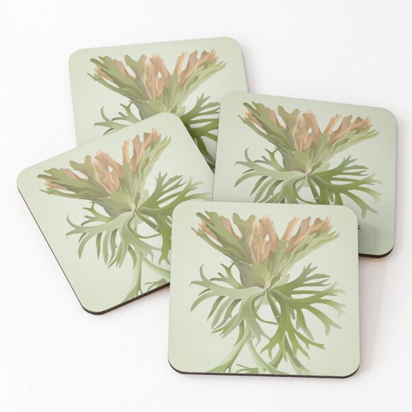Item preview, staghorn fern illustration - platycerium willinckii designed and sold by farhanfatich.