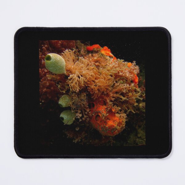 Item preview, Economists of the Reef designed and sold by David JC.