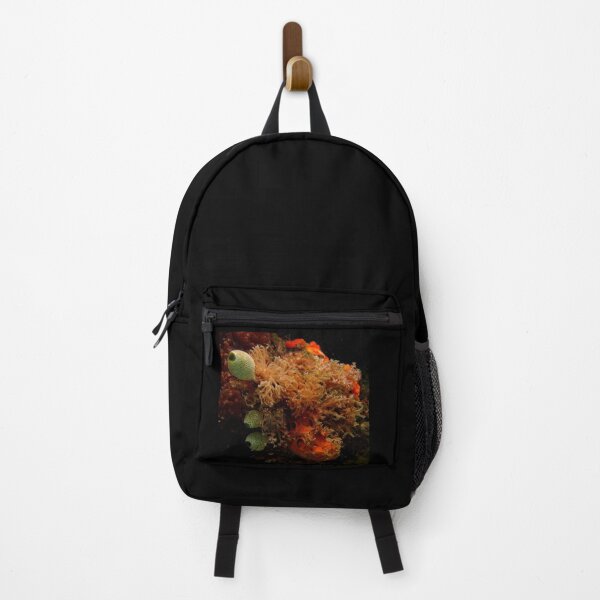 Item preview, Economists of the Reef designed and sold by David JC.