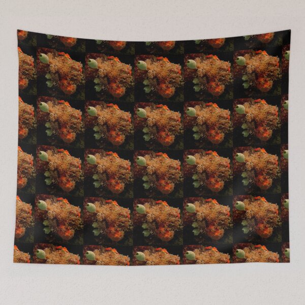 Item preview, Economists of the Reef designed and sold by David JC.