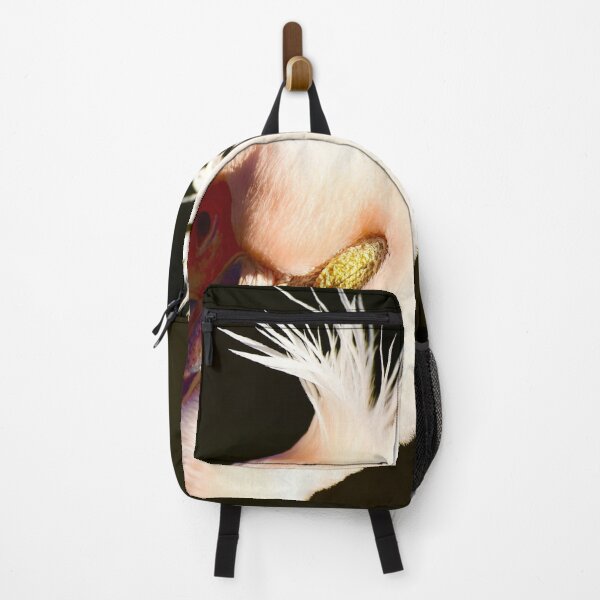Item preview, pelican photo with high resolution quality designed and sold by Allyouneed-2.