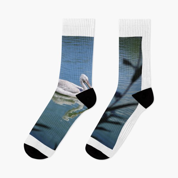 Item preview,  pelican photo with high resolution quality designed and sold by Allyouneed-2.