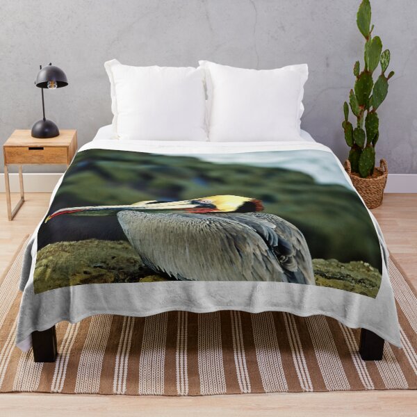 Item preview, pelican photo with high resolution quality designed and sold by Allyouneed-2.