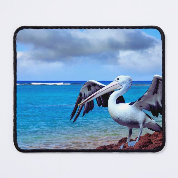 Item preview,  pelican photo with high resolution quality designed and sold by Allyouneed-2.