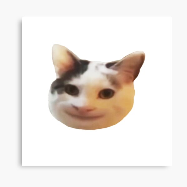 Beluga Cat Sticker for Sale by Nagjin in 2023