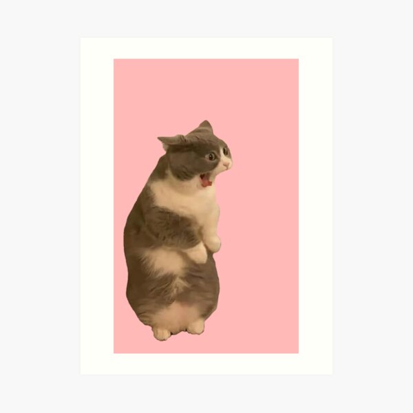 "cat meme" Art Print for Sale by tttatia Redbubble