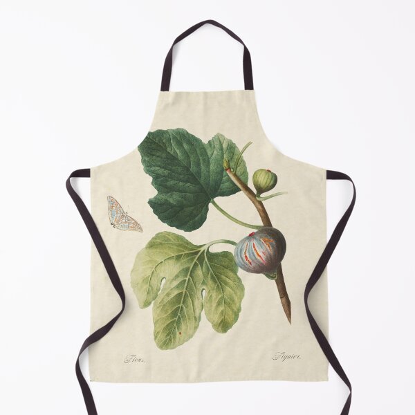 Item preview, Figs by Redouté, 1824 (édition classique) designed and sold by GalBotanique.