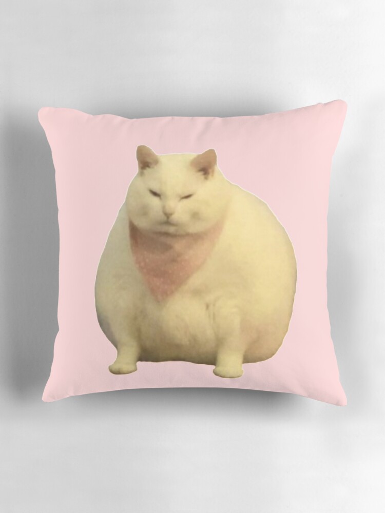 Chonky cat Pillow for Sale by tttatia Redbubble