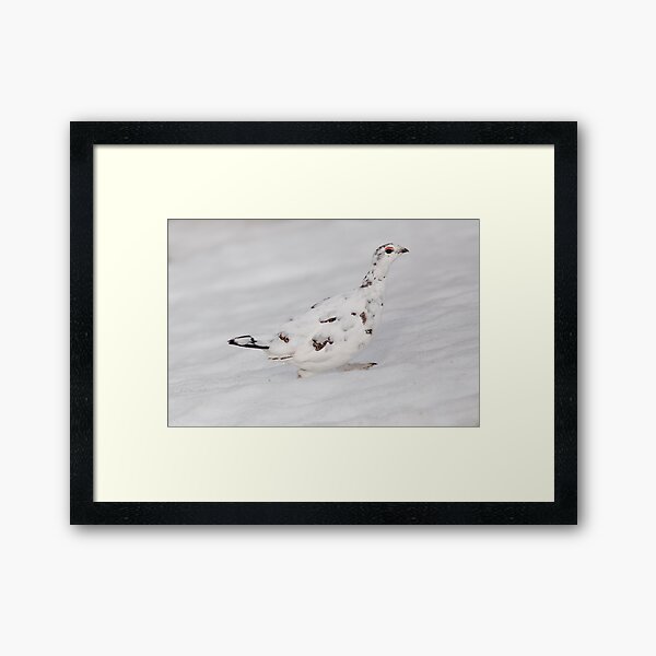 Item preview, Ptarmigan in Snow designed and sold by cjdolfin.