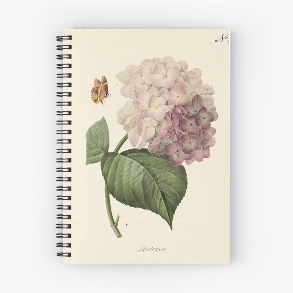 Item preview, Hortensia by Redouté, édition classique designed and sold by GalBotanique.