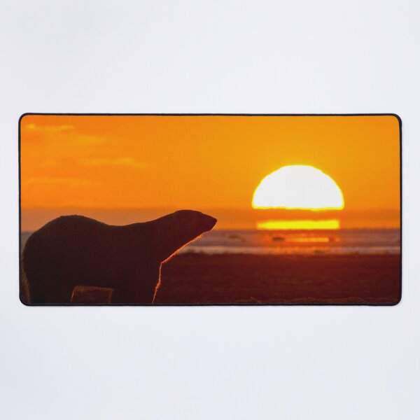 Item preview, Polar Bear canvas, Polar Bear , animal, animals, Polar Bear wall art, Polar Bear artwork, wild, Polar Bear art,Polar Bear painting designed and sold by eyesight4vision.