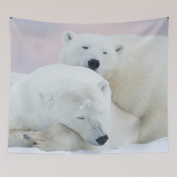 Item preview,  Polar Bear canvas, Polar Bear , animal, animals, Polar Bear wall art, Polar Bear artwork, wild, Polar Bear art,Polar Bear painting designed and sold by eyesight4vision.