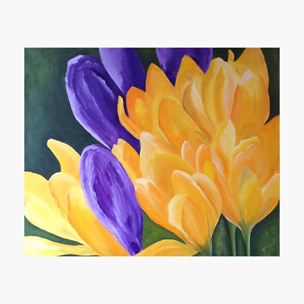 Dutch Crocus/ Springtime Photographic Print