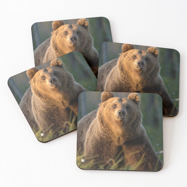 Item preview,  panoramic,panoramic wall art, panoramic canvas prints widescreen prints, wall posters, Tapestries,Tapestry,,Grizzly Bear,animal, animals,Grizzly Bear wall art,Grizzly Bear artwort designed and sold by eyesight4vision.