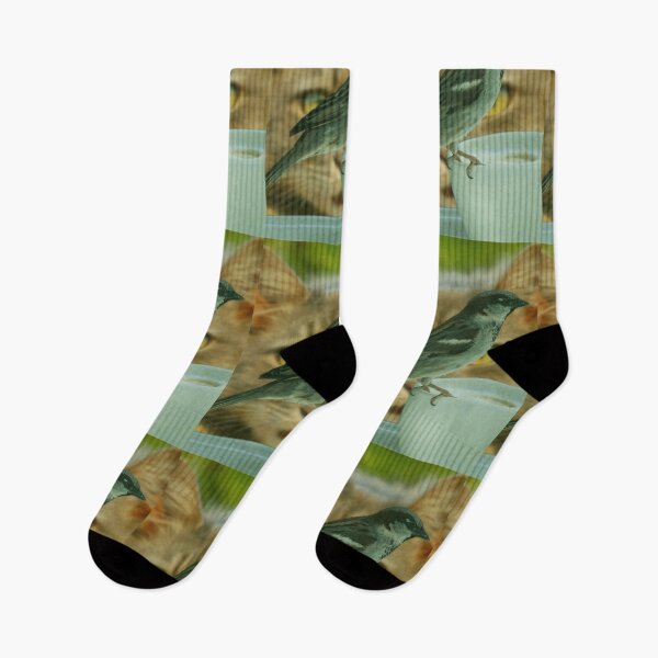 Item preview, Cat Hunter designed and sold by Jodes16.