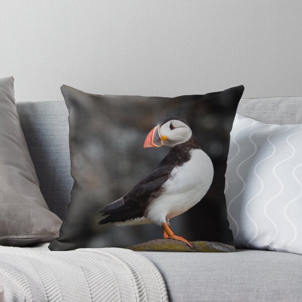 Item preview, Atlantic Puffin designed and sold by cjdolfin.