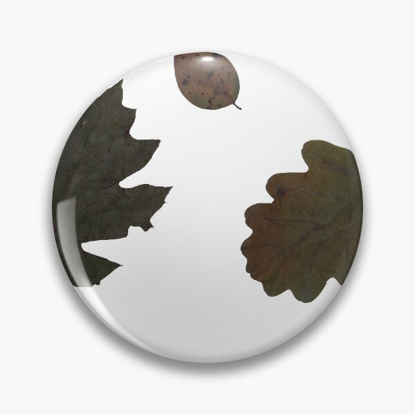 Aperçu de l'œuvre Feuilles séchées d'arbres et de plantes herbier sur fond blanc créée et vendue par architecturephd.