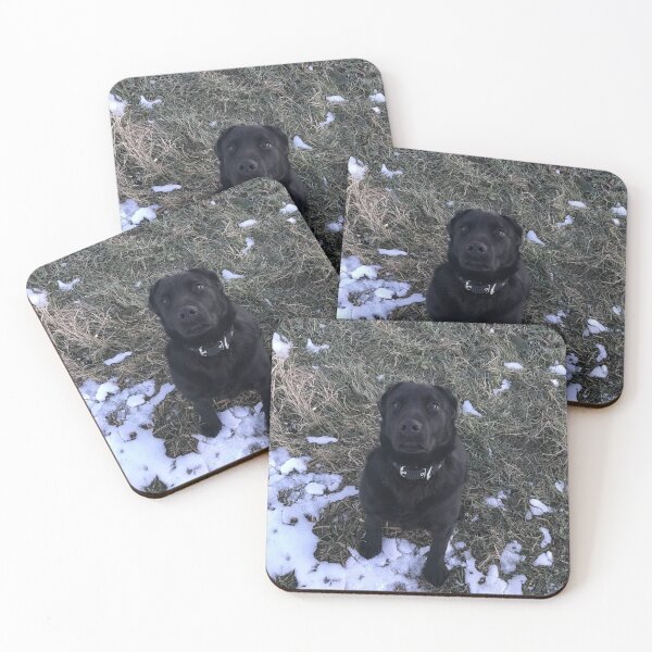 Item preview, Dog Walk In The Snow designed and sold by MaxManN1.