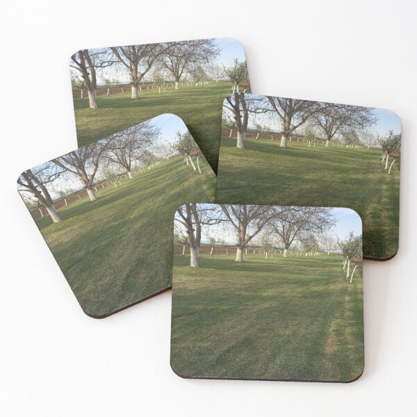 Item preview,  Fruit in the spring designed and sold by MaxManN1.