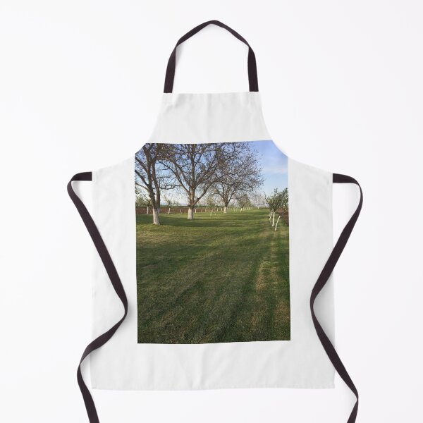 Item preview, Fruit in the spring designed and sold by MaxManN1.