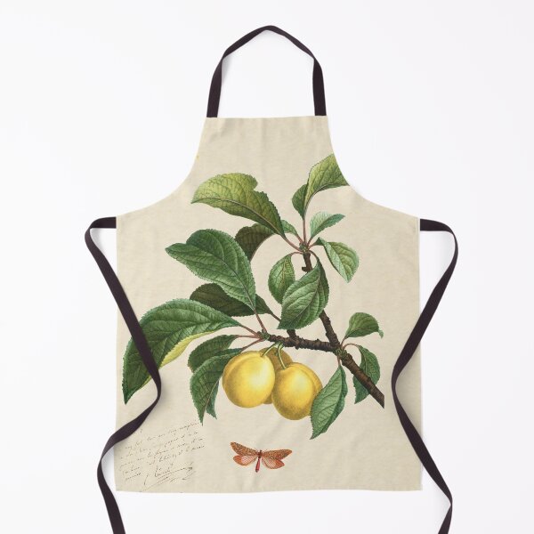 Item preview, Plum of Saint Catherine, 1824 (édition classique) designed and sold by GalBotanique.