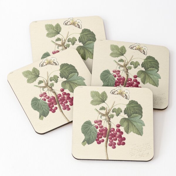 Item preview, Red currant by Redoute, 1827 (édition classique) designed and sold by GalBotanique.