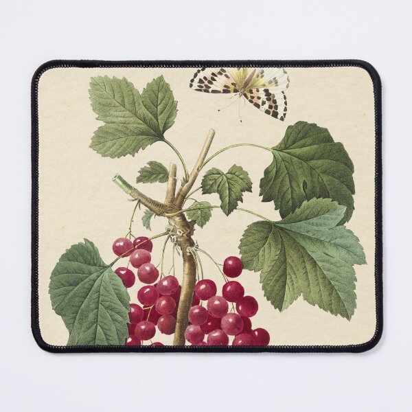 Item preview, Red currant by Redoute, 1827 (édition classique) designed and sold by GalBotanique.