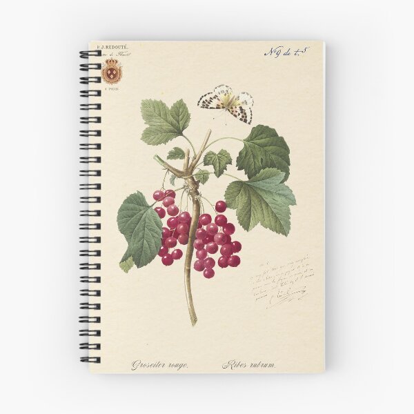Item preview, Red currant by Redoute, 1827 (édition classique) designed and sold by GalBotanique.