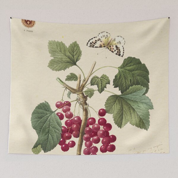 Item preview, Red currant by Redoute, 1827 (édition classique) designed and sold by GalBotanique.