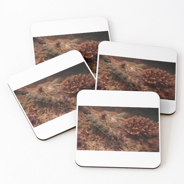 Item preview, Lizard on the Reef designed and sold by David JC.