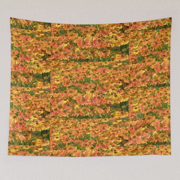 Item preview, A Drift of Heleniums Flowers Floral Photography designed and sold by naturegallery.