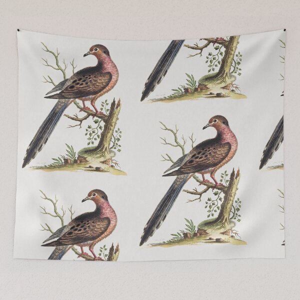 Item preview, Cute bird red. designed and sold by bigchungor.