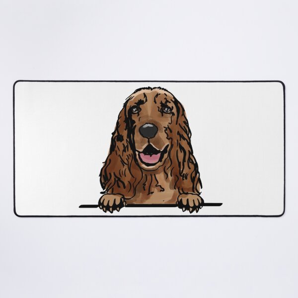 cocker spaniel accessories